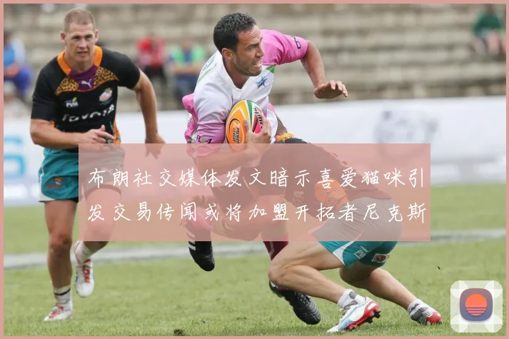 布朗社交媒体发文暗示喜爱猫咪引发交易传闻或将加盟开拓者尼克斯雷霆湖人